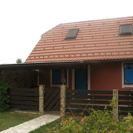 Apartma Geoteh Terme Catez 6032 Villa Krsko Ngoại thất bức ảnh