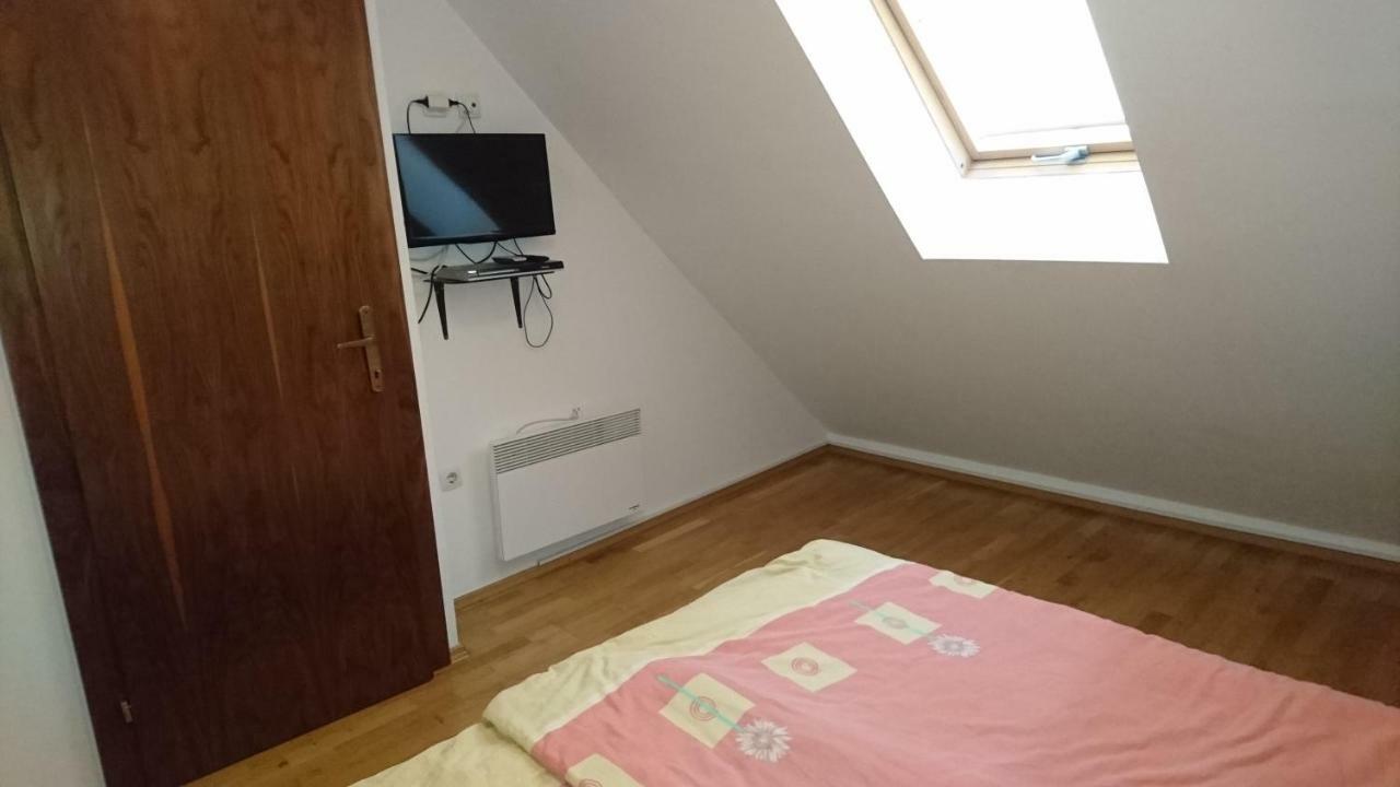 Apartma Geoteh Terme Catez 6032 Villa Krsko Ngoại thất bức ảnh